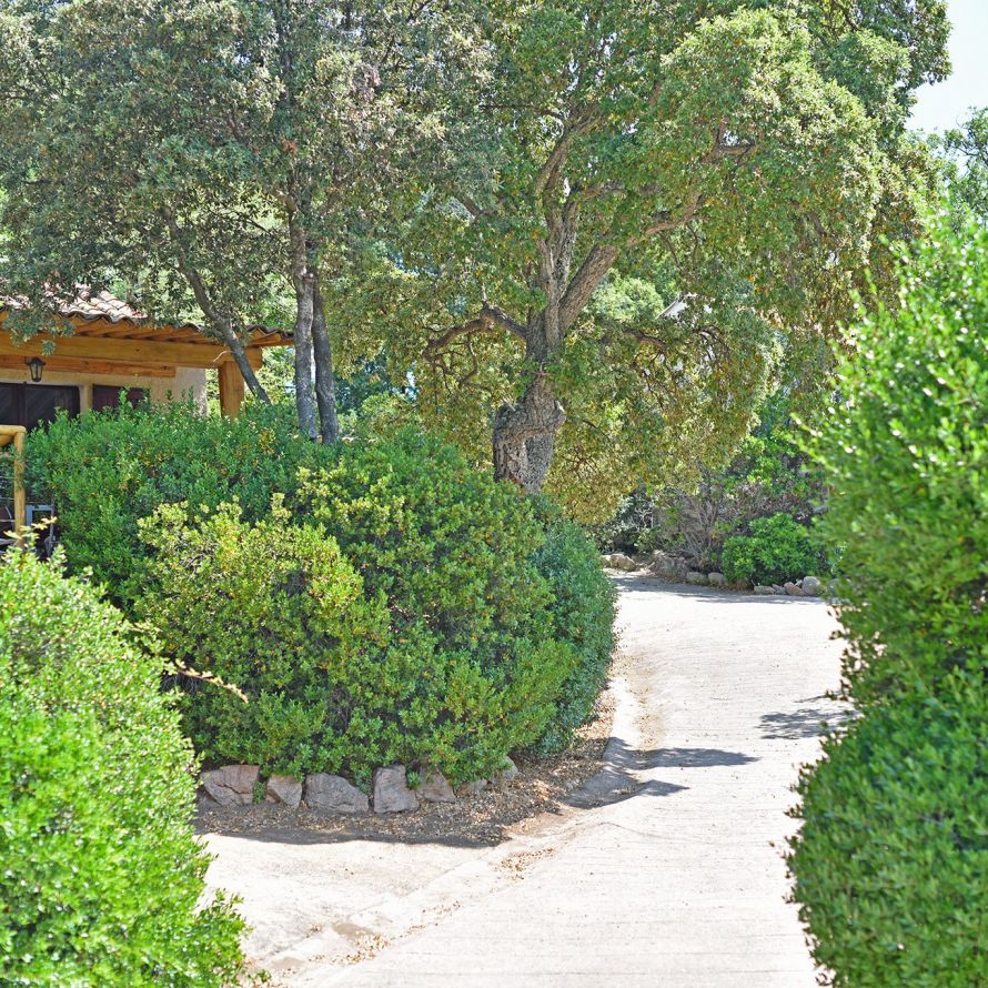 Allée d'accès aux Bungalows Chiara Stella