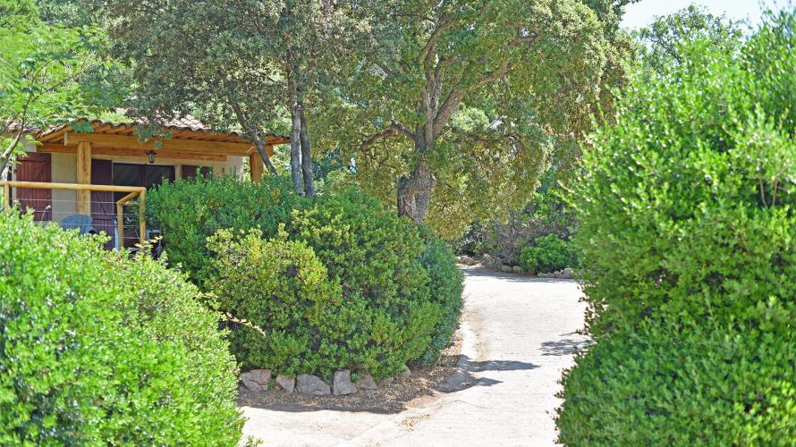 Allée d'accès aux Bungalows Chiara Stella