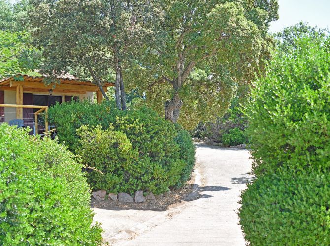 Allée d'accès aux Bungalows Chiara Stella